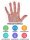 Gants LDPE /Polyclassic | Transparent/jetable | 50 pièces / paquet