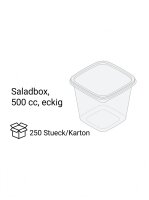 Salatbox | 500 cc | eckig | Kombi-Verpackung | mit Deckel...