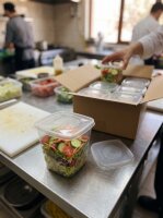 Salad box | 500 cc | Square | Combination pack | With lid | 250 pcs / carton